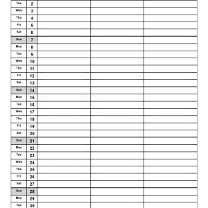 Free printable June 2026 planner with dates