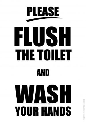 Flush the toilet and wash your hands