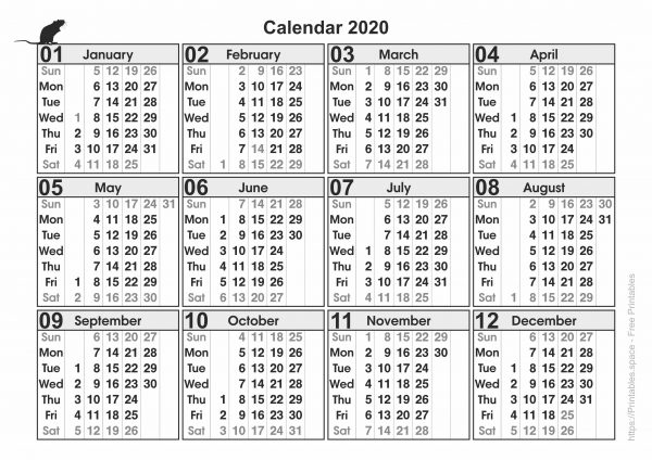 Calendar for Year 2020