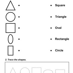 Match Shapes With Names Worksheet