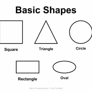 5 Basic Shapes Chart