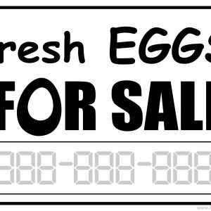 Printable Eggs For Sale Sign