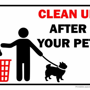 Clean Up After Your Pet