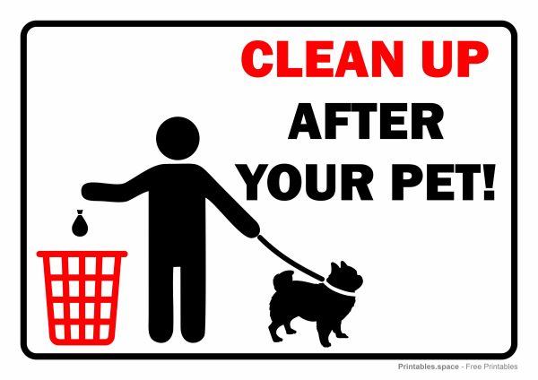 Clean Up After Your Pet