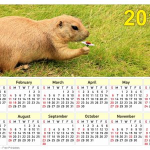 Free Printable US Calendar 2018 with Prairie Dog