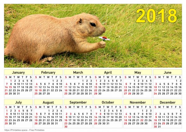Calendar 2018 with Prairie Dog