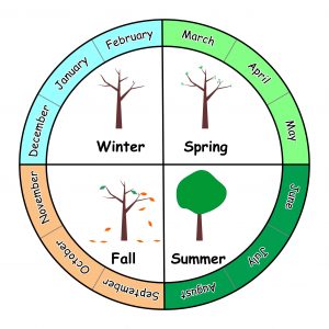 Seasons Of The Year And Their Months