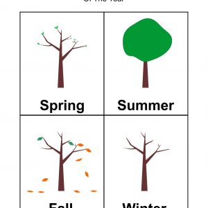 Seasons Of The Year Chart